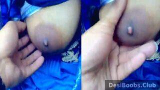 Desi man pressing big boobs of chubby aunty